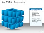 3d Cube Perspective PowerPoint Presentation Slides