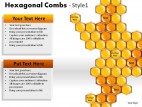 Hexagonal Combs Style 1 PowerPoint Presentation Slides