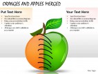Oranges And Apples Merged PowerPoint Presentation Slides