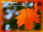 Autumn Maple Leaf Nature PowerPoint Template 1010