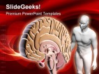 Brain Human People PowerPoint Template 0610