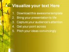 Branch Of Maple Nature PowerPoint Template 1010