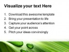 Drop And Leaf Nature PowerPoint Template 0910