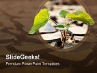Drought Plant Nature PowerPoint Template 0810