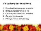 Fall Leaves Beauty PowerPoint Template 0610