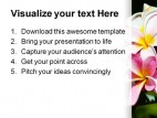 Frangipani Flowers Beauty PowerPoint Template 0910