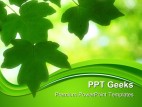 Green Leaves01 Nature PowerPoint Templates And PowerPoint Backgrounds 0411