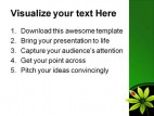 Lady Bug Nature PowerPoint Template 0910