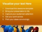 Macaw Parrots Animal PowerPoint Template 0810
