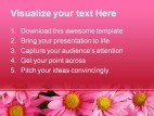 Pink Daisy Beauty PowerPoint Template 0910