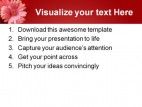 Pink Flower Beauty PowerPoint Template 1110
