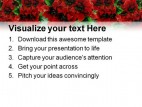 Poinsettias Christmas PowerPoint Template 0610