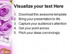 Purple Rose Wedding PowerPoint Template 0610