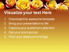 Roses01 Beauty PowerPoint Templates And PowerPoint Backgrounds 0411