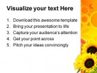 Sunflower Abstract Beauty PowerPoint Template 0810