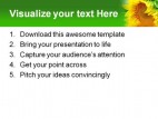 Sunflower Beauty PowerPoint Template 1110