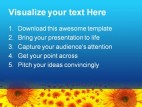 Sunflower Summer Nature PowerPoint Backgrounds And Templates 1210