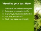 Sunlight In Forest Nature PowerPoint Template 0910