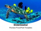 Turtle Animal PowerPoint Template 0910