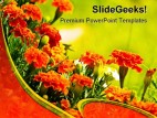 Wild Flowers Beauty PowerPoint Template 0610
