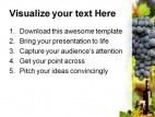 Wine Grapes Nature PowerPoint Template 0610