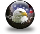 American Eagle01 PowerPoint Icon C