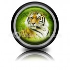 Amur Tiger PowerPoint Icon Cc