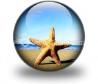 Beach Starfish PowerPoint Icon C