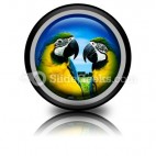 Parrots In Love PowerPoint Icon Cc