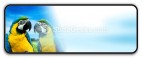 Parrots In Love PowerPoint Icon R