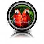 Red Parrots PowerPoint Icon Cc