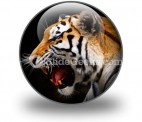 Tiger PowerPoint Icon C