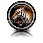 Tiger PowerPoint Icon Cc