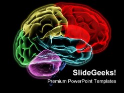 Brain Medical PowerPoint Template 0610