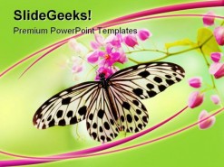 Butterfly Animals PowerPoint Template 0910