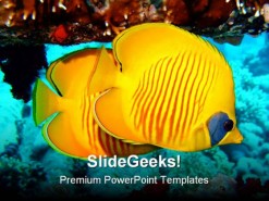 Butterfly Fish Animals PowerPoint Template 0910
