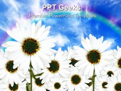 Daisies Nature PowerPoint Templates And PowerPoint Backgrounds 0411