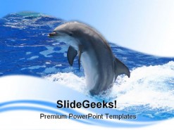 Dolphin Animals PowerPoint Template 0910