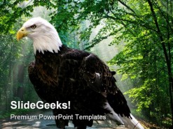 Eagle Animals PowerPoint Template 1010