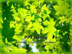 Fresh Green Maple Leaves Nature PowerPoint Templates And PowerPoint Backgrounds 0411