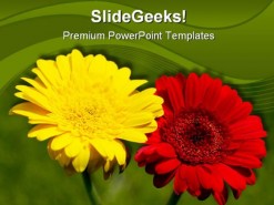 Gerbera Flower Nature PowerPoint Template 1110