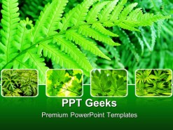 Green Fern Bushes Nature PowerPoint Templates And PowerPoint Backgrounds 0411