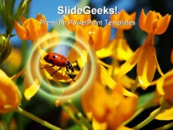 Ladybug Animal PowerPoint Template 1110