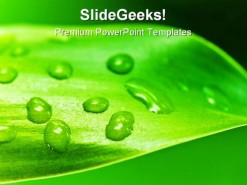 Leaf With Drops Nature PowerPoint Template 0910