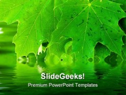 Leaves Reflection Nature PowerPoint Template 1110