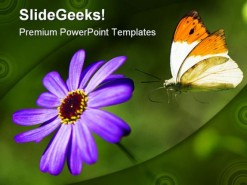 Lilac Flower Beauty PowerPoint Template 0810