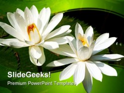 Lotus Flowers Beauty PowerPoint Template 1110