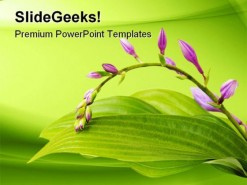 Purple Hosta Nature PowerPoint Template 1110