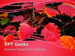 Red Autumn Leaves Nature PowerPoint Templates And PowerPoint Backgrounds 0411