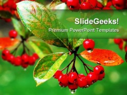 Red Berries Food PowerPoint Backgrounds And Templates 1210